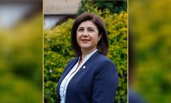Tülen Saner, Başbakanlık Denetleme Kurulu üyeliğine atandı
