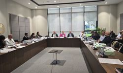 Serbest Liman ve Bölge Müdürlüğü ile Rekabet Kurulu bütçeleri Komite’de onaylandı