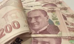 2024 yılı suni tohumlamadan doğan erkek buzağı desteği ödendi