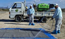 Geçitkale-Serdarlı Belediyesinden şap önlemleri: Denetimler ve dezenfeksiyon çalışmaları artırıldı