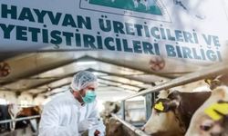 Şap hastalığına karşı kritik uyarı