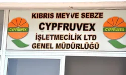 Cypfruvex, narenciye alım fiyatlarını açıkladı: Başvurular bugünden itibaren başlıyor