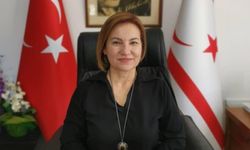 Zaimağaoğlu, TDT Kardeş Türk Diasporaları Atlası Komisyonu’na atandı