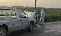 Güney Kıbrıs’ta şap vakası görülen çiftlik sayısı 101’e ulaştı