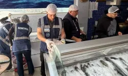 Gönyeli ve Alayköy bölgesindeki su ürünleri perakende satış yerleri denetlendi: 70 kilo ürün imha edildi