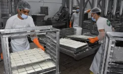 KTSO: Yeşil Hat üzerinden hellim ihracatındaki engel kalkıyor