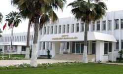 Dışişleri Bakanlığı: Avrupa Konseyi Delegeler Komitesi’nin kararı kesinlikle TMK’nın etkinliğiyle ilgili değildir
