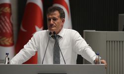 Arıklı: Meclisteki 50 milletvekilinin 30’u paslaşarak seçildi