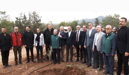 Kıbrıs Vakıflar İdaresi, “100 Bin Zeytin Fidanı Dikim” projesini hayata geçiriyor