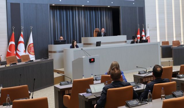 Öztürkler: Gelecek olağan birleşim yeni yasama yılında olacak