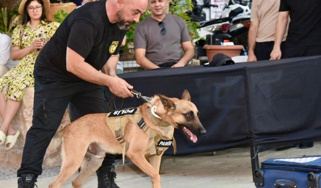 Suçluların korkulu rüyası “süper burun” dedektör köpekler her an göreve hazır…