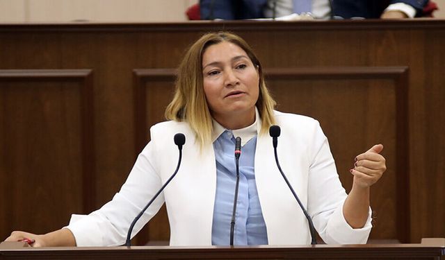 Öztürk: İki devleti kabullenmek hayatta kalmanın tek çözümüdür