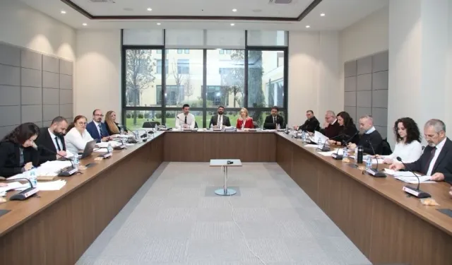 Sağlık Hizmetleri Dairesi Yasa Tasarısı, Komiteden oy çokluğuyla geçti