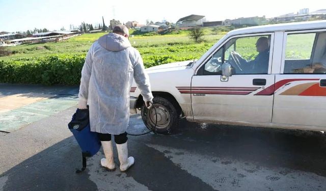 Larnaka’da 11 çiftlikte şap hastalığı tespit edildi