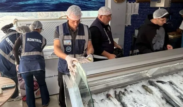 Gönyeli ve Alayköy bölgesindeki su ürünleri perakende satış yerleri denetlendi: 70 kilo ürün imha edildi