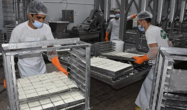 KTSO: Yeşil Hat üzerinden hellim ihracatındaki engel kalkıyor