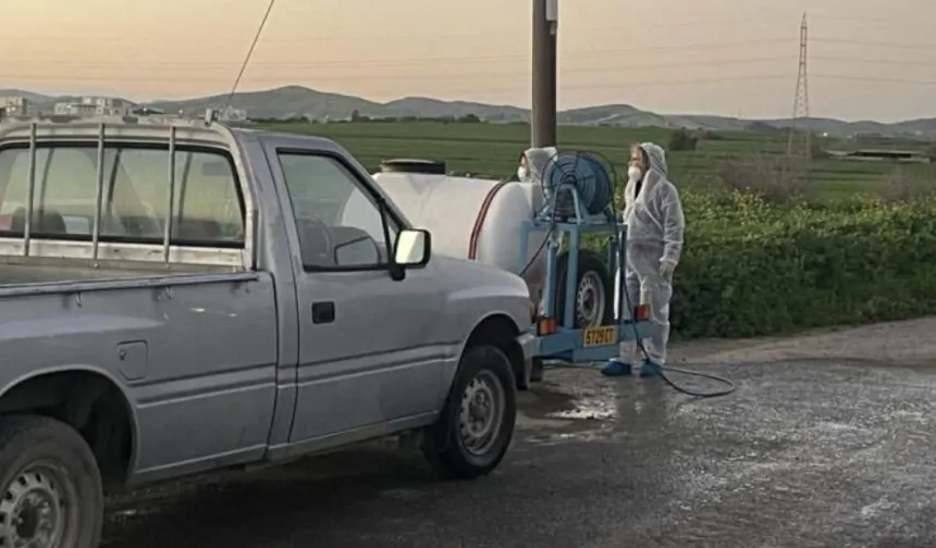 Güney Kıbrıs’ta şap vakası görülen çiftlik sayısı 101’e ulaştı